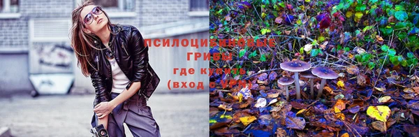ГАЛЛЮЦИНОГЕННЫЕ ГРИБЫ Белоозёрский