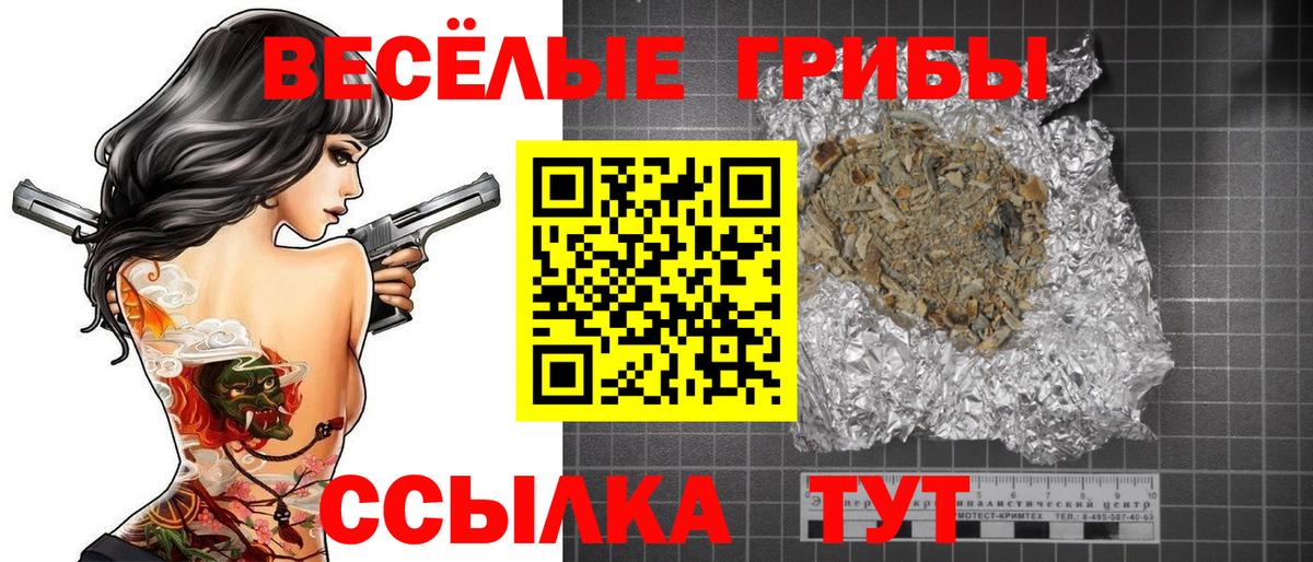 Галлюциногенные грибы Psilocybe  Вход с VPN  Чебоксары  Псилоцибиновые грибы Psilocybe 