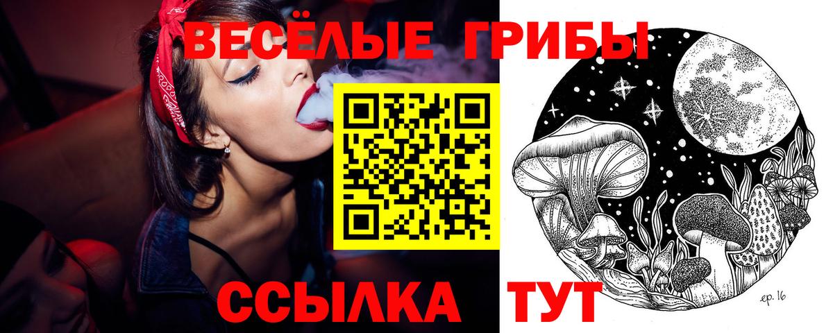 Галлюциногенные грибы GOLDEN TEACHER Чебоксары